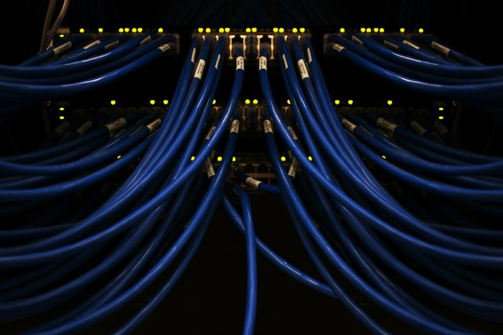 Cables de red azules conectados